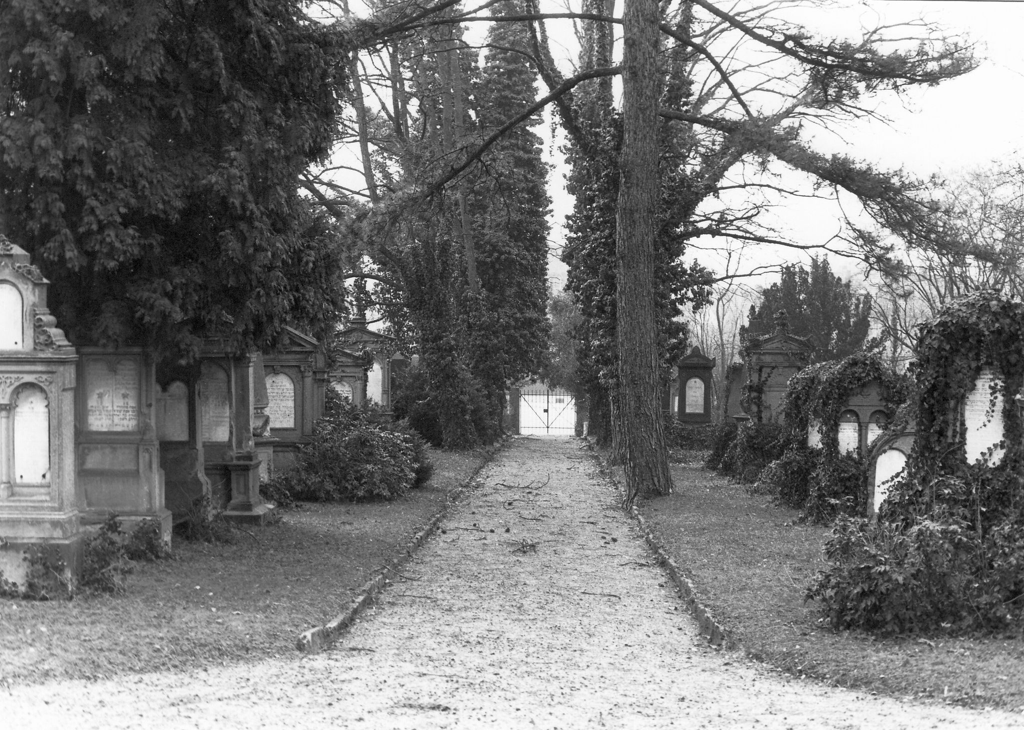 Jüdischer Friedhof in Heilbronn